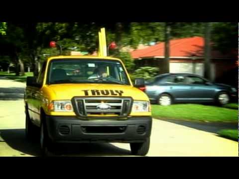 Truly Nolen International – Verdadera tranquilidad Somos líderes en control de plagas, prevención de termitas y cuidado del césped. Hemos estado construyendo excelentes relaciones con nuestros clientes desde 1938, cuando Truly comenzó en Miami.