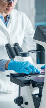 Trabajo de laboratorio.